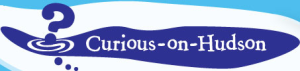 Curious Logo